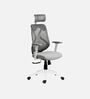 Lukano Breathable Mesh Ergonomic Chair In White And Grey Colour