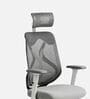 Lukano Breathable Mesh Ergonomic Chair In White And Grey Colour