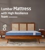 Lumbar 4 inch HR Foam Single Mattress