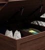Lumina Queen Size Bed in Brown Colour With Hydraulic Storage