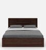 Lumina Queen Size Bed in Brown Colour With Hydraulic Storage