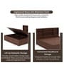 Lumina Queen Size Bed in Brown Colour With Hydraulic Storage