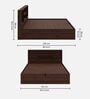 Lumina Queen Size Bed in Brown Colour With Hydraulic Storage