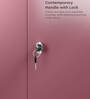 Luminex Textured 2-Door Steel Wardrobe in Dusty Rose Finish