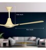 Luminous Pinnacle Metallic 1200mm ceiling fan (Pearl Ivory)