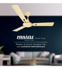 Luminous Pinnacle Metallic 1200mm ceiling fan (Pearl Ivory)