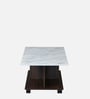 Luna Coffee Table in Ash Wenge Finish