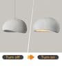 Luna Curve Pendant Light   Sculptural Cement Finish