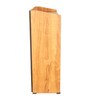 Luna ShoeRack In Teak Finish Luna ShoeRack In Teak Finish