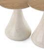 Luna End Table Set in Brown Matte Finish