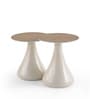 Luna End Table Set in Brown Matte Finish