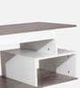 Lupa Coffee Table In Marble & White Colour