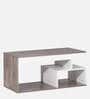 Lupa Coffee Table In Marble & White Colour