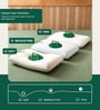 Lupine Pain Relief (22 X 14) Soft Foam Sleeping Pillow