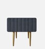 Lupita Velvet Bench In Grey Colour
