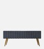 Lupita Velvet Bench In Grey Colour
