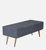 Lupita Velvet Bench In Grey Colour