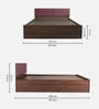 Lush Deluxe Queen Size Upholstered Bed In Dorado Colour & Walnut Finish With Box Storage Lush Deluxe Queen Size Upholstered Bed In Dorado Colour & Walnut Finish With Box Storage