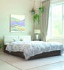 Lush Deluxe Queen Size Upholstered Bed In Pastel Grey Colour & Walnut Finish With Box Storage Lush Deluxe Queen Size Upholstered Bed In Pastel Grey Colour & Walnut Finish With Box Storage