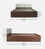 Lush Deluxe Queen Size Upholstered Bed In Pastel Grey Colour & Walnut Finish With Box Storage Lush Deluxe Queen Size Upholstered Bed In Pastel Grey Colour & Walnut Finish With Box Storage