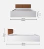 Lush Deluxe Queen Size Upholstered Bed In Potters Clay & White Colour With Box Storage
