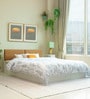Lush Deluxe Queen Size Upholstered Bed In Potters Clay & White Colour With Box Storage