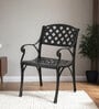 Lush Metal Patio Chair in Black Finish