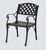 Lush Metal Patio Chair in Black Finish