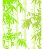 Multicolour Polyester 72 x 82 Inch Digitally Printed Bamboo Shower Curtain