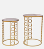 Luther Glass Top End Table (Set of 2) in Gold Finish