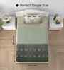 Luxe Green Autumn Delight Single 186 TC Cotton Bedsheet With 1 Pillow Cover