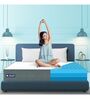 Luxe SmartGrid 8 inch HR Foam Queen Size Mattress with Grid Layer