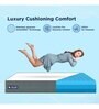 Luxe SmartGrid 8 inch HR Foam Queen Size Mattress with Grid Layer