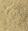 Gold Shaggy Fur Polyester Cushion Covers 16x16 Inch Pack of 2