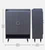 Luxora 2 Door Shoe Cabinet In Dark Grey Color