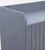 Luxora 2 Door Shoe Cabinet In Dark Grey Color