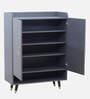 Luxora 2 Door Shoe Cabinet In Dark Grey Color