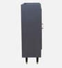 Luxora 2 Door Shoe Cabinet In Dark Grey Color
