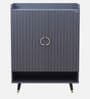 Luxora 2 Door Shoe Cabinet In Dark Grey Color