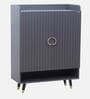 Luxora 2 Door Shoe Cabinet In Dark Grey Color