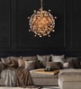 Luxuria Radiant Burst Gold Crystal Chandelier   Modern Dandelion Design