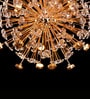Luxuria Radiant Burst Gold Crystal Chandelier   Modern Dandelion Design