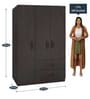 Luxuria 3 Door Wardrobe with 2 Drawers in Antique Ebony Finish