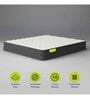 Luxuriate Hybrid 6 inch Pocketed Spring Single Mattress with Zero Partner Disturbance