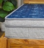 LUXURINO Pillow Top with ISPT TECHNOLOGY Blue 10 Inch Bonnell Spring & PU Foam Single Size Mattress