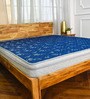 LUXURINO Pillow Top with ISPT TECHNOLOGY Blue 8 Inch Bonnell Spring & PU Foam King Size Mattress