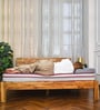 LUXURINO Pillow Top with ISPT TECHNOLOGY Red 8 Inch Bonnell Spring & PU Foam Single Size Mattress