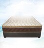 Nirvana 8 inch Pocketed Spring Single Mattress (with 1 Free Pillow)
