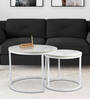 Lustle  Metal Nesting Coffee TableIn White Colour