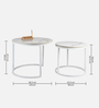 Lustle  Metal Nesting Coffee TableIn White Colour